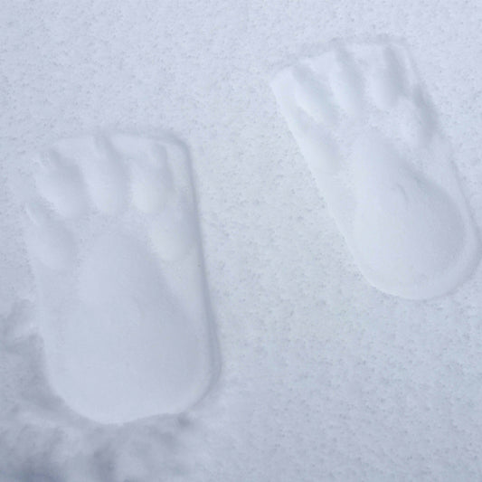 Snow Stamper Bear Feet