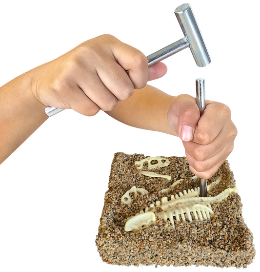 I Dig Dinosaur Big Kit T-Rex