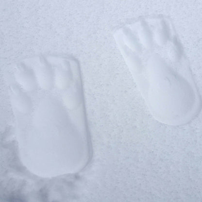 Pieds d'ours tamponneurs de neige