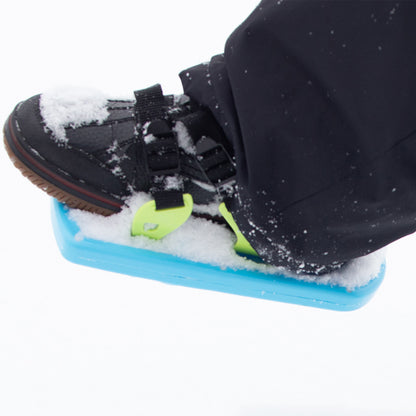 Pieds d'ours tamponneurs de neige