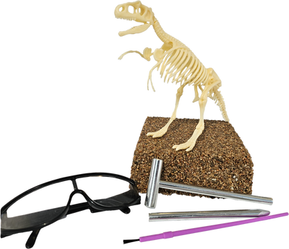 J'aime les dinosaures Big Kit T-Rex