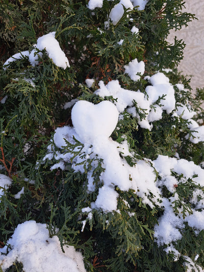 Duck and Heart Snowball Makers