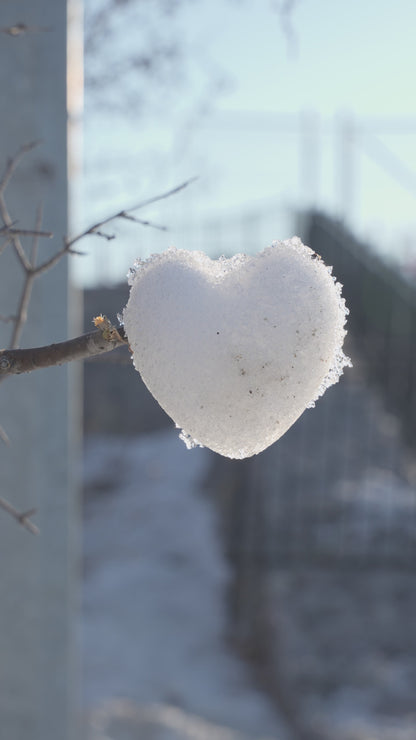 Duck and Heart Snowball Makers