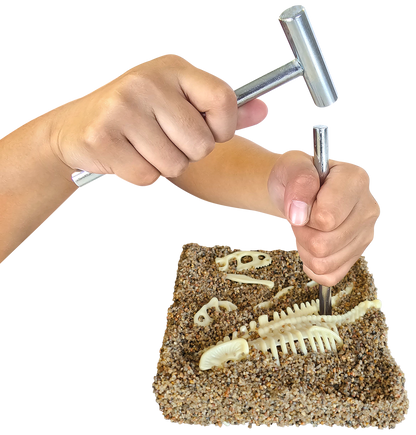 J'aime les dinosaures Big Kit T-Rex